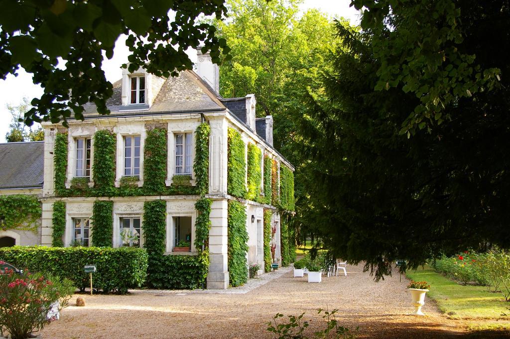 Hostellerie du Château de l'Isle La Croix-en-Touraine Quarto foto